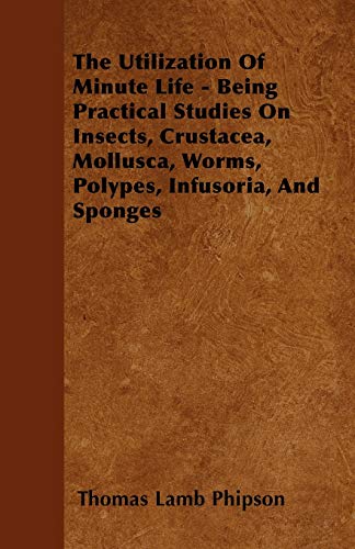 9781446030264: The Utilization Of Minute Life - Being Practical Studies On Insects, Crustacea, Mollusca, Worms, Polypes, Infusoria, And Sponges