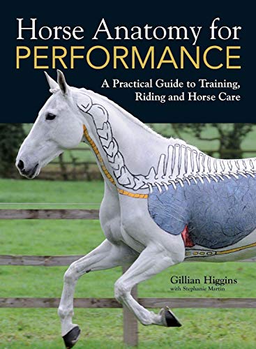 Beispielbild fr Horse Anatomy for Performance zum Verkauf von Blackwell's