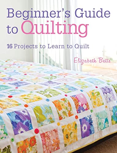 Stock image for Beginner's Guide to Quilting: 16 Projects to Learn to Quilt for sale by HPB-Emerald