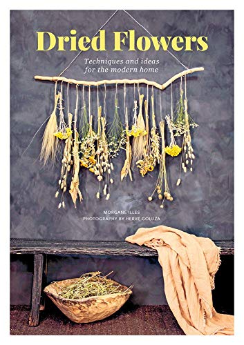 Stock image for Dried Flowers: Techniques and Ideas for the Modern Home for sale by WorldofBooks