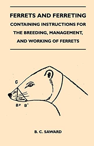 Stock image for Ferrets And Ferreting - Containing Instructions For The Breeding; Management; And Working Of Ferrets for sale by Ria Christie Collections