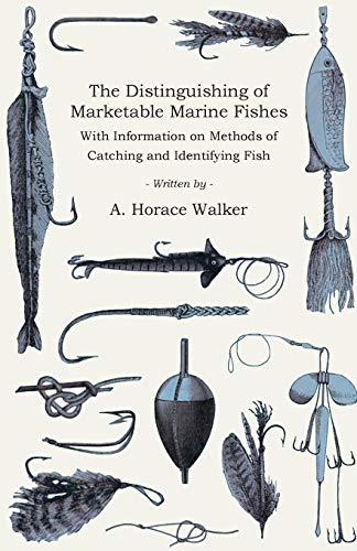 Stock image for The Distinguishing of Marketable Marine Fishes - With Information on Methods of Catching and Identifying Fish for sale by Buchpark