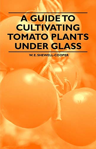 9781446537480: A Guide to Cultivating Tomato Plants Under Glass