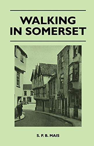 Stock image for Walking in Somerset for sale by Lucky's Textbooks