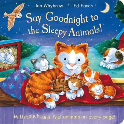 Beispielbild fr Say Goodnight to the Sleepy Animals! (Say Hello) zum Verkauf von AwesomeBooks