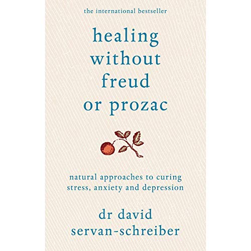 9781447211464: Healing Without Freud or Prozac: Natural approaches to curing stress, anxiety and depression
