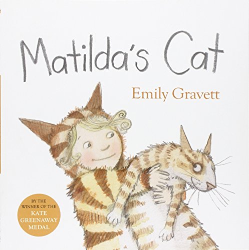 9781447218623: Matilda's Cat