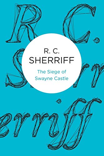 9781447221050: The Siege of Swayne Castle