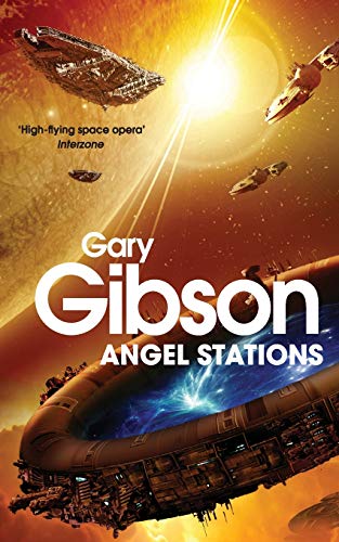 9781447224129: Angel Stations