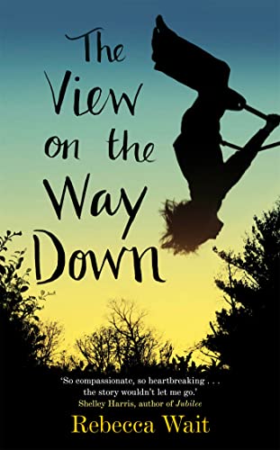 Stock image for The View on the Way Down for sale by AwesomeBooks