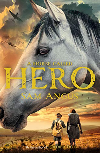 Stock image for A Horse Called Hero for sale by WorldofBooks