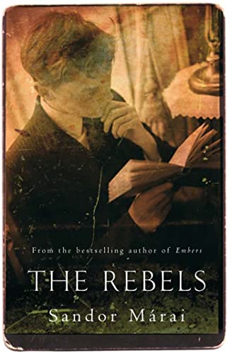 9781447248255: The Rebels