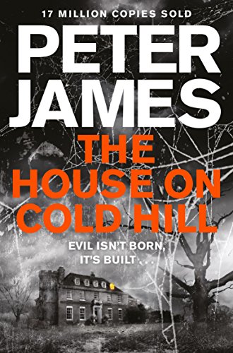9781447255949: The House on Cold Hill