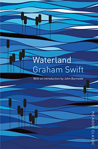 Stock image for Waterland: Picador Classic for sale by Reuseabook