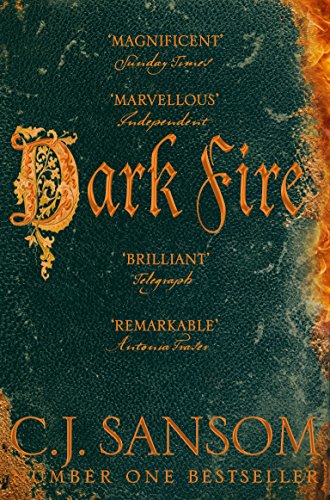 Imagen de archivo de Dark Fire a la venta por Blackwell's