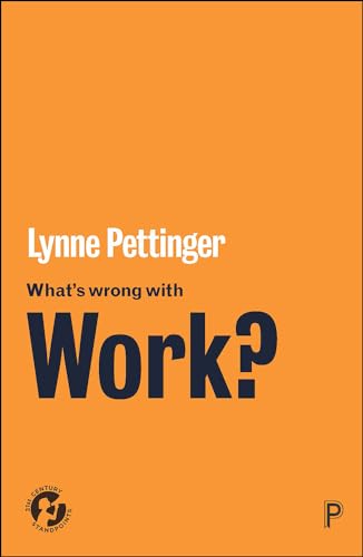 Imagen de archivo de Whats Wrong with Work? (21st Century Standpoints) a la venta por Lakeside Books