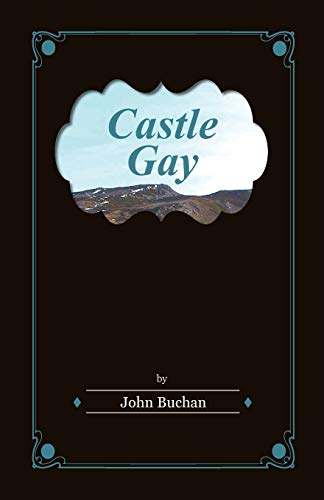 9781447403494: Castle Gay