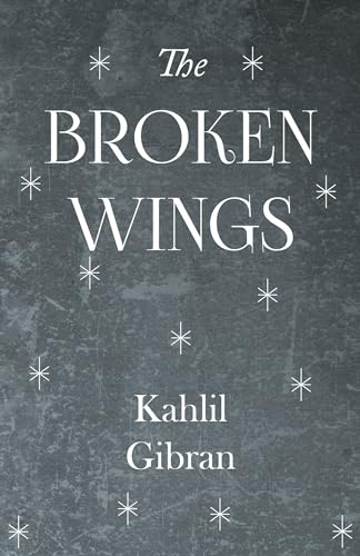 9781447403791: The Broken Wings