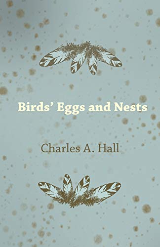Stock image for Birds' Eggs and Nests for sale by Lucky's Textbooks