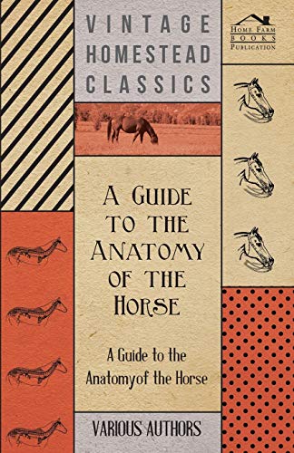 Imagen de archivo de A Guide to the Anatomy of the Horse A Collection of Historical Articles on the Skeleton, Hoof, Teeth, Locomotion and Other Aspects of Equine Anato a la venta por PBShop.store US
