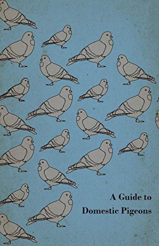 Beispielbild fr A Guide to Domestic Pigeons - With Chapters on Doves; Training and Their Habits zum Verkauf von Ria Christie Collections