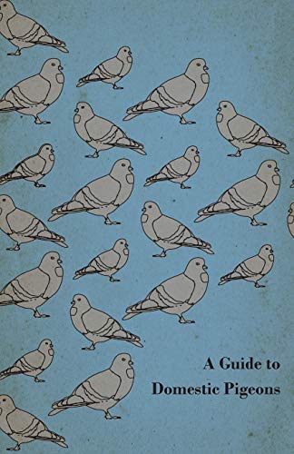 Stock image for A Guide to Domestic Pigeons - With Chapters on Doves; Training and Their Habits for sale by Ria Christie Collections