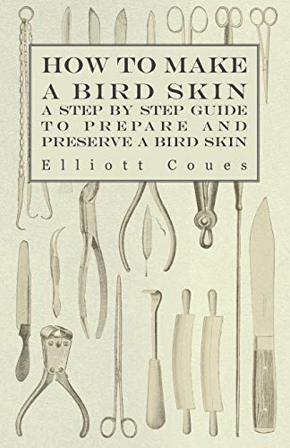 Beispielbild fr How to Make a Bird Skin - A Step by Step Guide to Prepare and Preserve a Bird Skin zum Verkauf von GF Books, Inc.