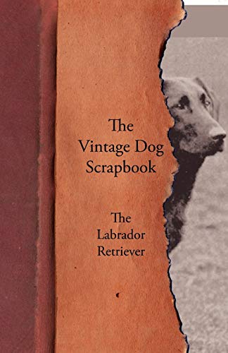 Imagen de archivo de The Vintage Dog Scrapbook - The Labrador Retriever a la venta por ThriftBooks-Dallas