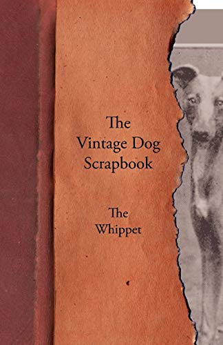 9781447430001: The Vintage Dog Scrapbook - The Whippet