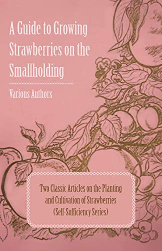 Stock image for A Guide to Growing Strawberries on the Smallholding - Two Classic Articles on the Planting and Cultivation of Strawberries (Self-Sufficiency Series) for sale by Ria Christie Collections