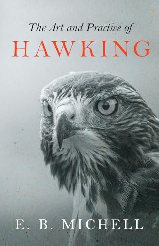 9781447464488: The Art and Practice of Hawking