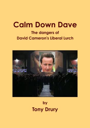 Stock image for Calm Down Dave for sale by Revaluation Books
