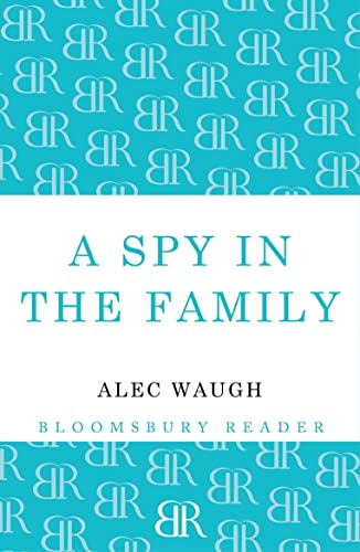 9781448200610: A Spy in the Family: An Erotic Comedy