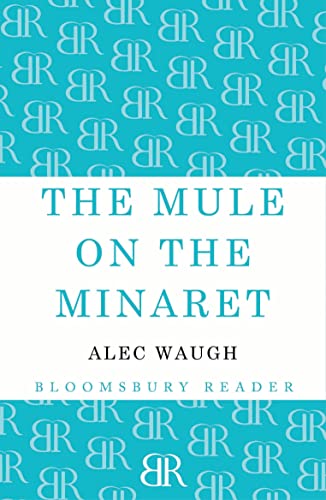 Imagen de archivo de The Mule on the Minaret: A Novel about the Middle East a la venta por Chiron Media