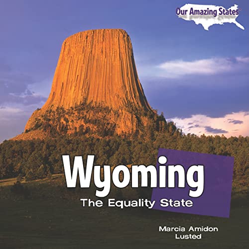 Wyoming: The Equality State (Our Amazing States) (9781448806638) by Amidon Lusted, Marcia