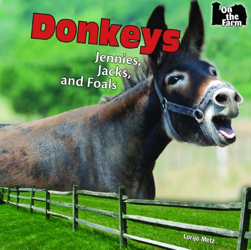 Beispielbild fr Donkeys : Jennies, Jacks, and Foals zum Verkauf von Better World Books