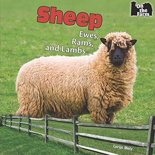 Stock image for Sheep : Ewes, Rams, and Lambs for sale by Better World Books: West