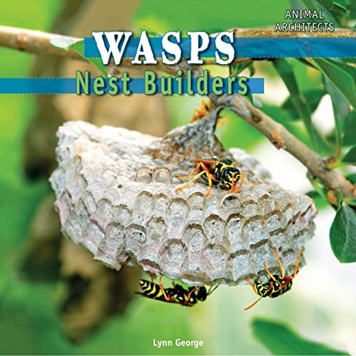 Beispielbild fr Wasps : Nest Builders zum Verkauf von Better World Books