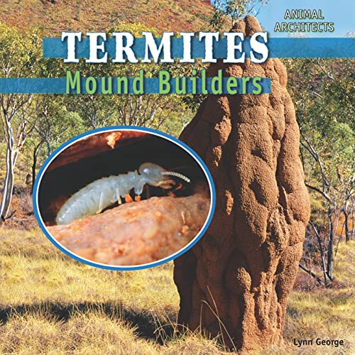 Beispielbild fr Termites : Mound Builders zum Verkauf von Better World Books