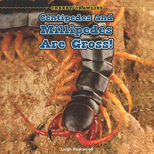 Centipedes and Millipedes Are Gross! (Creepy Crawlies) - Leigh Rockwood