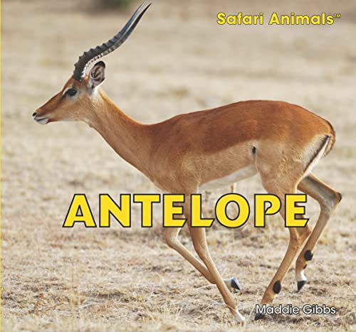 Imagen de archivo de Antelope a la venta por Better World Books