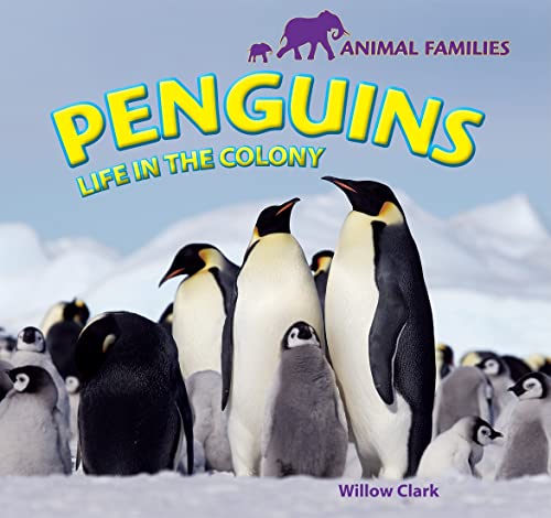 Beispielbild fr Penguins : Life in the Colony zum Verkauf von Better World Books