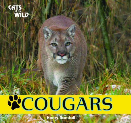 Imagen de archivo de Cougars (Cats of the Wild) a la venta por mountain