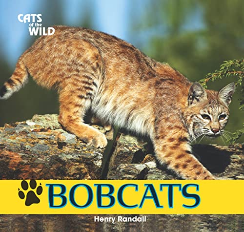 Beispielbild fr Bobcats (Cats of the Wild) zum Verkauf von SecondSale