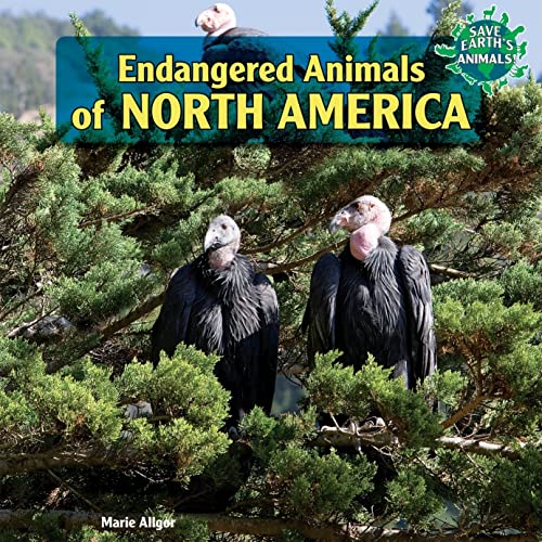 Stock image for Endangered Animals of North America for sale by Better World Books