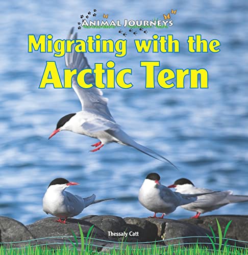 Stock image for Migrating With the Arctic Tern (Animal Journeys) for sale by FOLCHATT