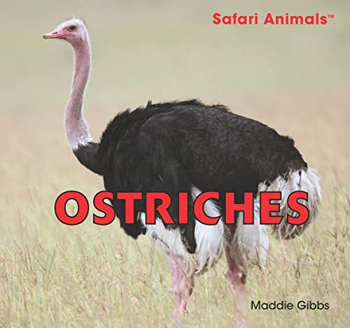 Stock image for Ostriches for sale by ThriftBooks-Dallas