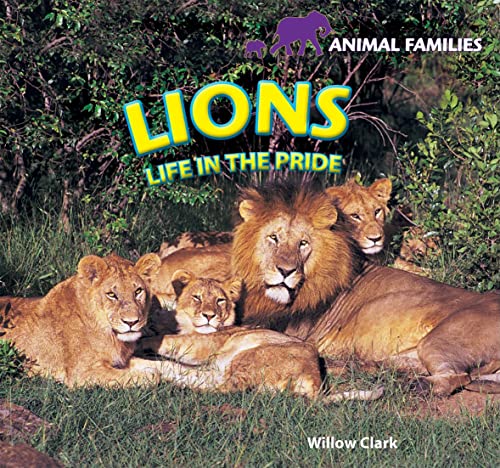 Beispielbild fr Lions: Life in the Pride zum Verkauf von Buchpark