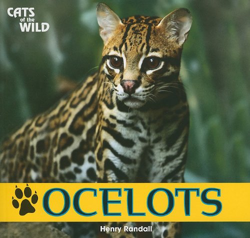 Beispielbild fr Ocelots (Cats of the Wild) zum Verkauf von Goodwill of Colorado