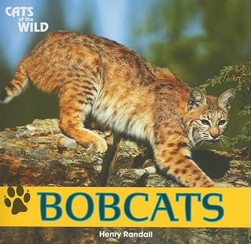 Imagen de archivo de Bobcats a la venta por ThriftBooks-Dallas